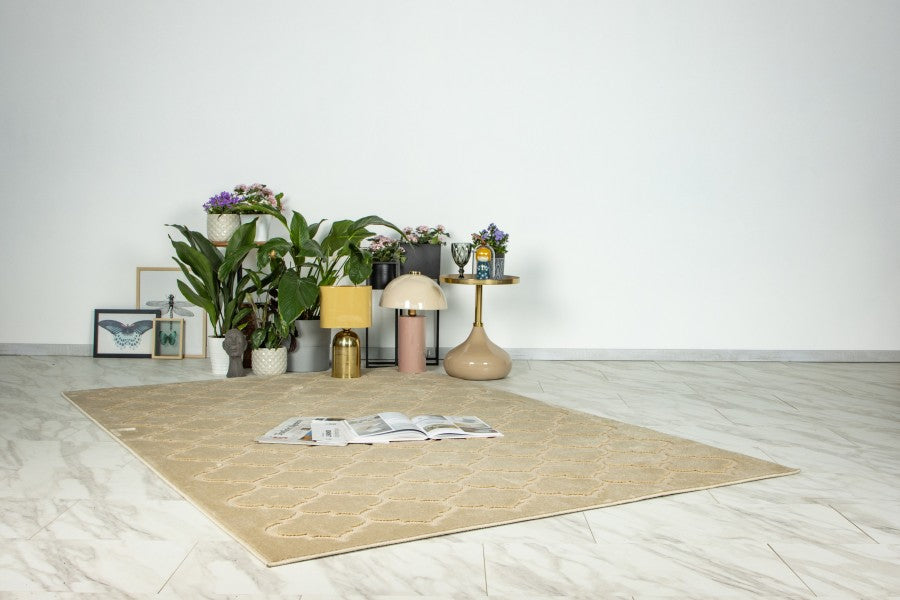 beige trellis rug